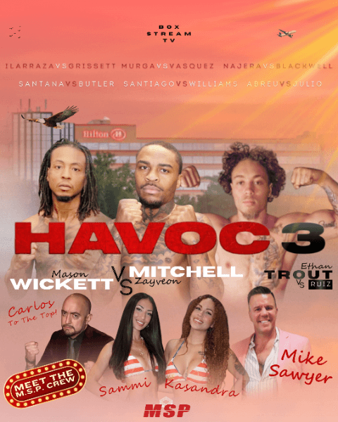 Havoc at the Hilton 3