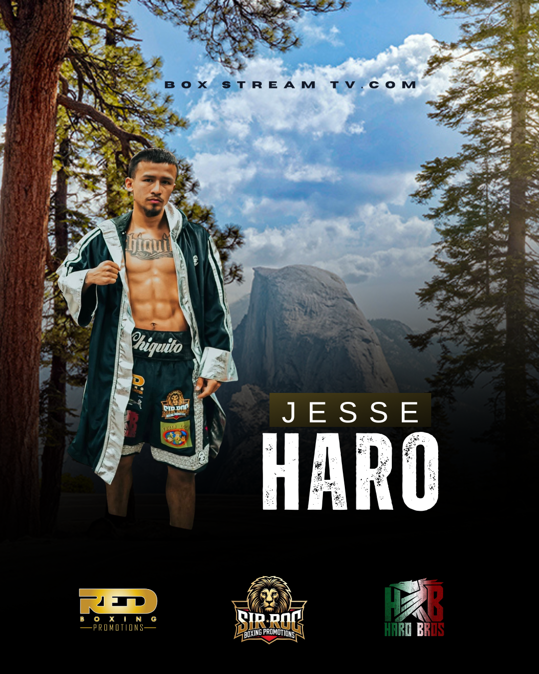 BoxStreamTV | Live Boxing Streaming & Pay-Per-View Events